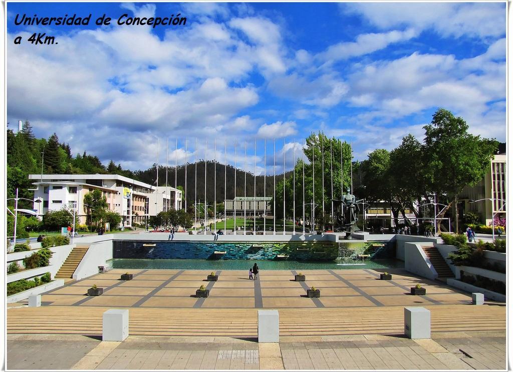 Casa San Valentin Hotell Concepción Exteriör bild
